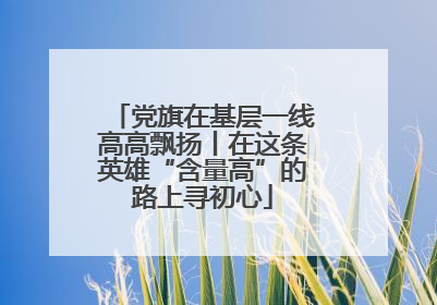 党旗在基层一线高高飘扬丨在这条英雄“含量高”的路上寻初心